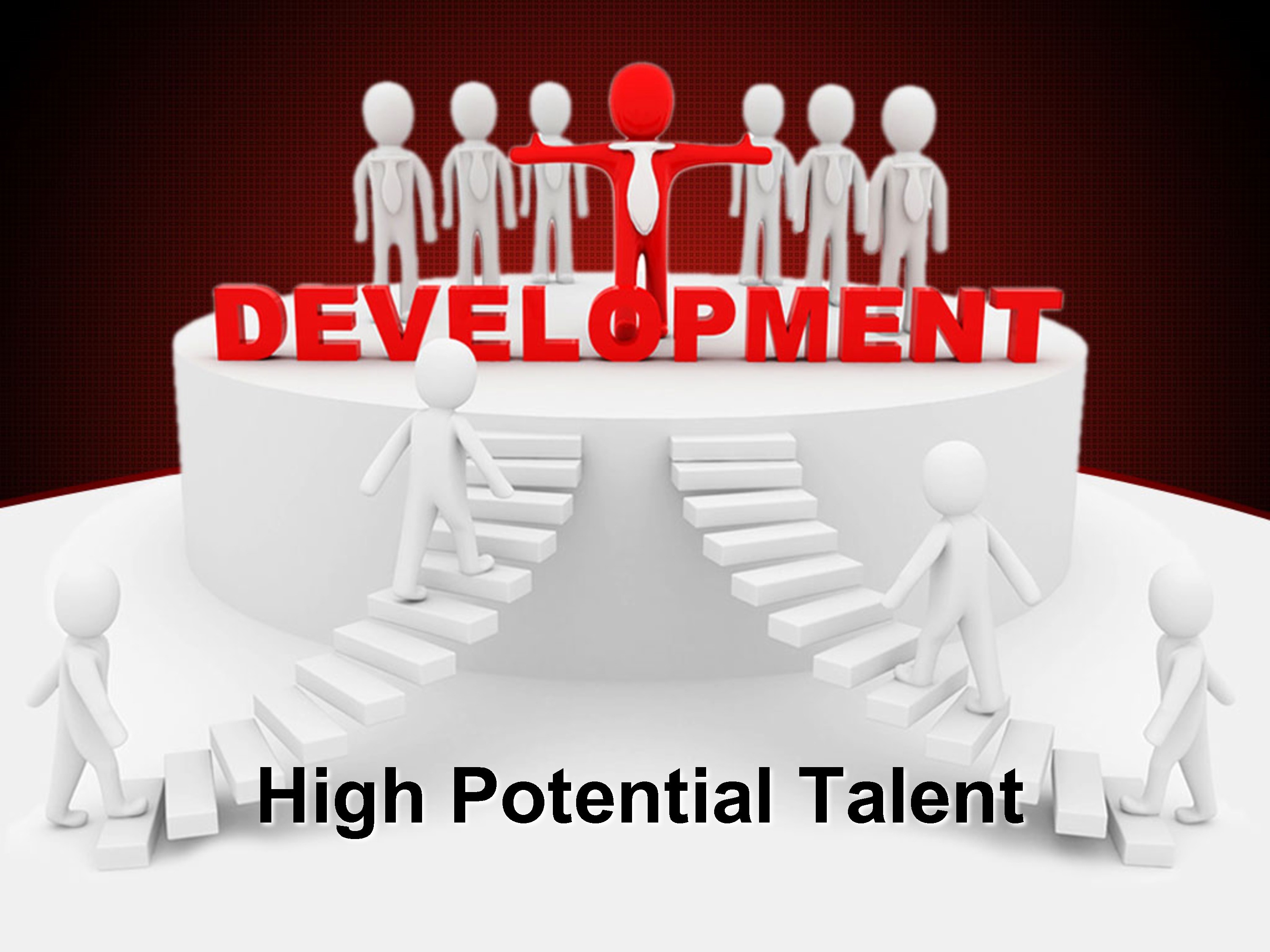 High Potential Talent Development Program
