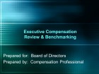 Executive Compensation Review & Benchmarking
